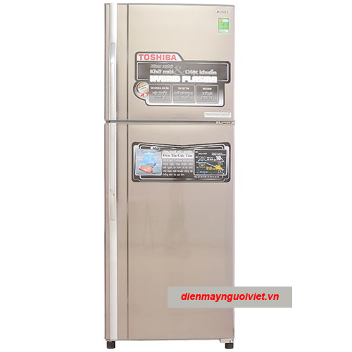 Tủ lạnh Toshiba GR-R32FVUD(TS) 320 lít 2 cánh ngăn đá trên