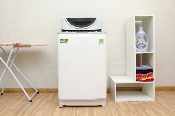 Máy giặt Toshiba AW-DE1100GV Inverter 10 kg