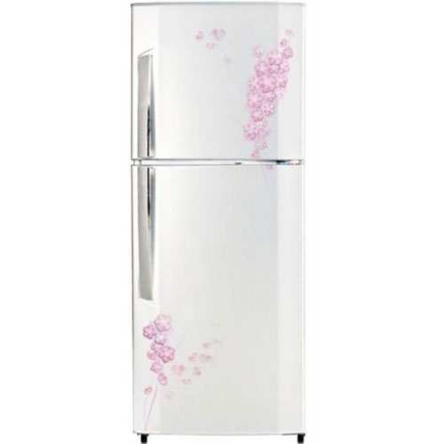 Tủ lạnh LG GN-185PG, 185 lít