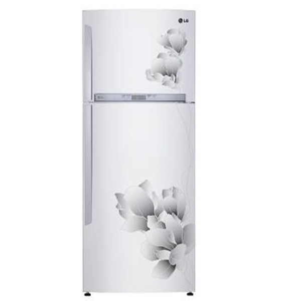 Tủ lạnh LG GR-C402MG - 346 lít